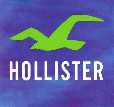 $100 Hollister Co. Gift Card Giveaway