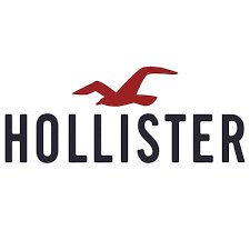 $100 Hollister Co. Gift Card Sweepstakes