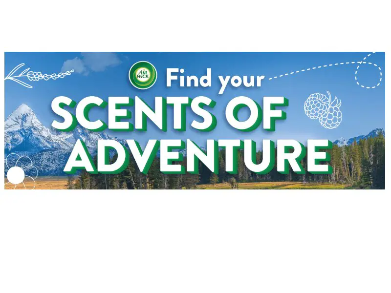 Air Wick Gift With Purchase Offer And Sweepstakes - Win A Trip For 4 To The Hidden Yellowstone & Grand Teton Safari