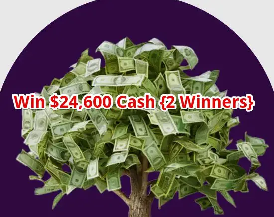 Ally Money Roots Money Tree Sweepstakes – Win $24,600 Cash Or Other Prizes (234 Winners)