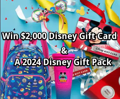 Ambrie $2000 Disney Gift Card And 2024 Disney Set Giveaway