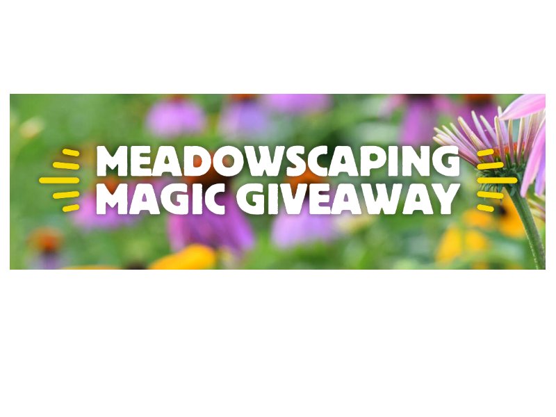 American Meadows Meadowscaping Magic Giveaway - Win A Gift Card, Gear & More