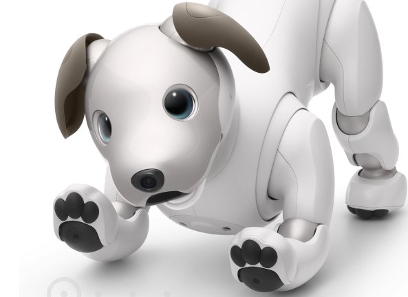 AvaWatz Aibo Companion Robot Giveaway - Win A $3,000 Hi-Tech Robot Dog