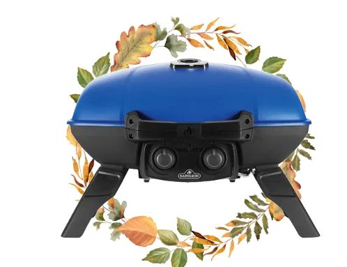 BBQ Authority Thanksgiving Giveaway - Win A Portable Propane Grill, A BBQ Authority & More