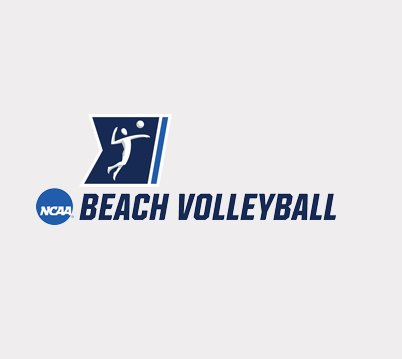Beach Volleyball Championship Sweepstakes
