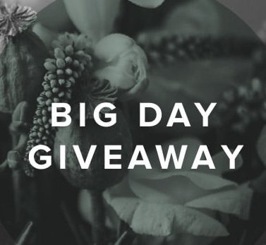 Big Day Giveaway Sweepstakes