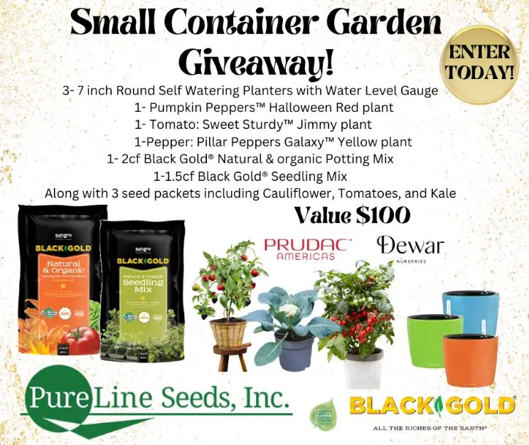 Black Gold Small Container Garden Sweepstakes - Enter To Win $100 Gardening Gift Pack