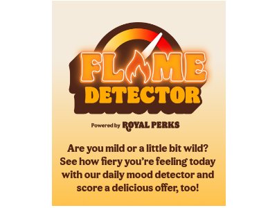 Burger King Flame Detector Promotion - Answer The Survey & Receive A Discount Coupon