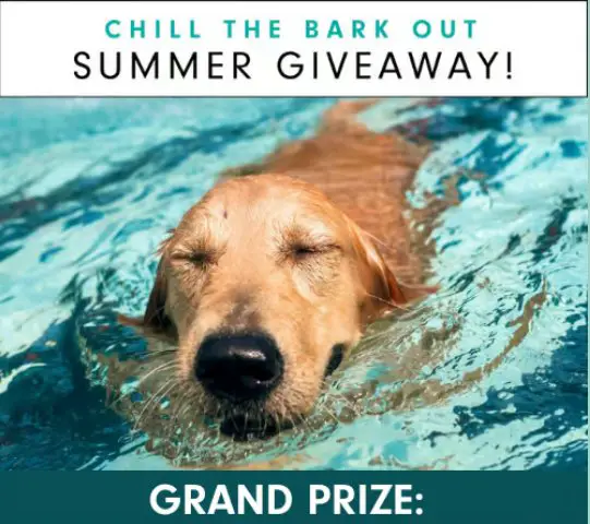 Chill The Bark Out Summer Giveaway – Win A Free Dog Gear Prize Pack (3 Winners)