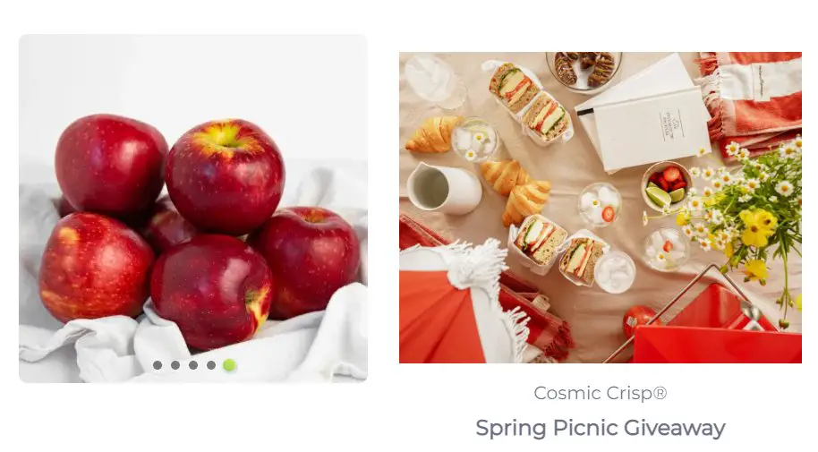 Cosmic Crisp Spring Picnic Sweepstakes -  Win A $450 Prize Pack