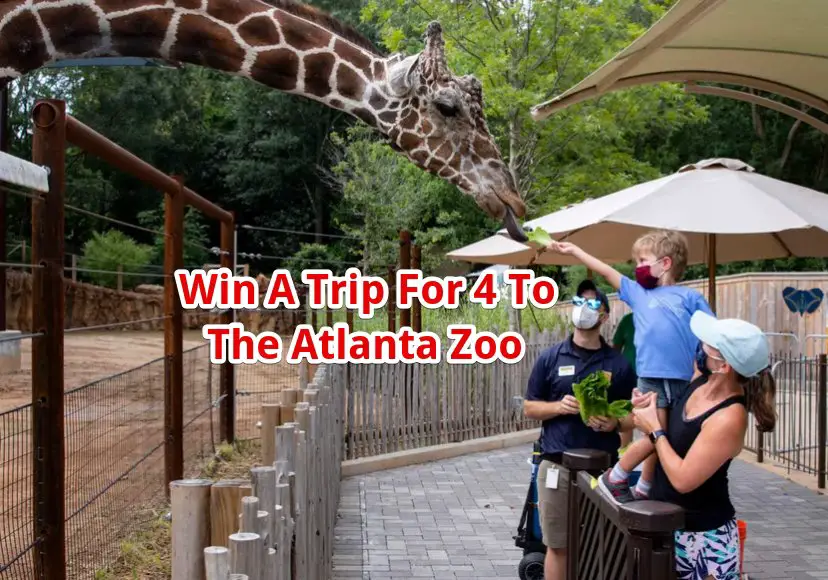 Cricket Wireless Zoo Atlanta Flyaway Sweepstakes - Win A Trip For 4 To Visit The Atlanta Zoo