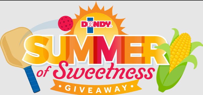 Dandy Summer Of Sweetness Sweepstakes – Win A Portable Pickleball Net, A Set Of Pickleball Balls & More (35 Winners)