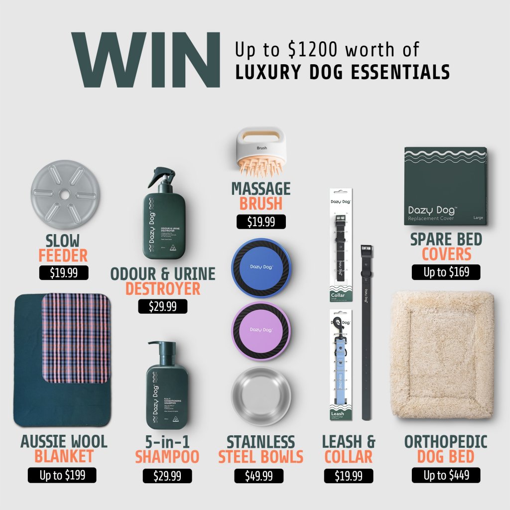 Dazy Dog Spoil your Dog with Luxury Essentials Giveaway - Win $1,200 Worth Of Luxury Dog Essentials