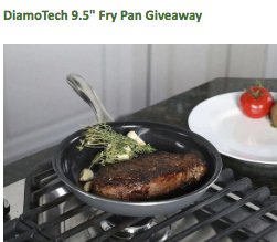 DiamoTech 9.5 Fry Pan Giveaway