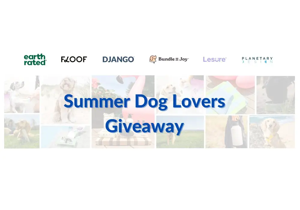 DJANGO Summer Dog Lovers Giveaway - Win Summer Pet Care Products & More