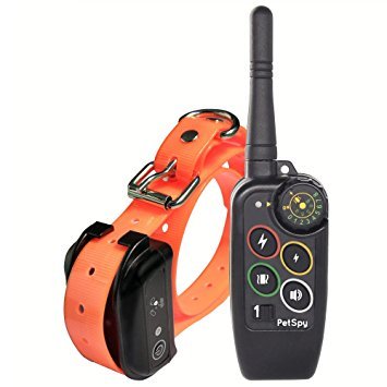 Dog Training Shock Collar Instant Win Giveaway