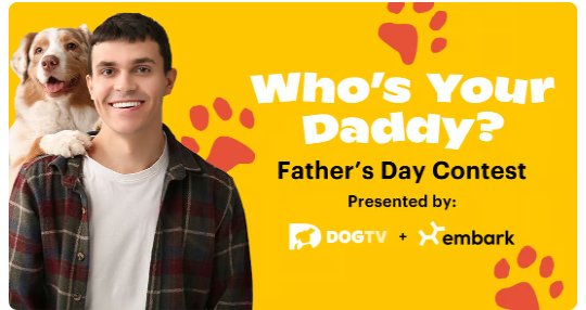 DogTV Who’s Your Daddy Father’s Day Giveaway – Win A 1-Year Subscription To DogTV And A Dog DNA Test (5 Winners)