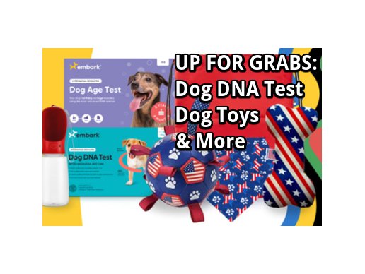 Embark Summer Games Giveaway -  Win Dog DNA Test, Dog Toys & More