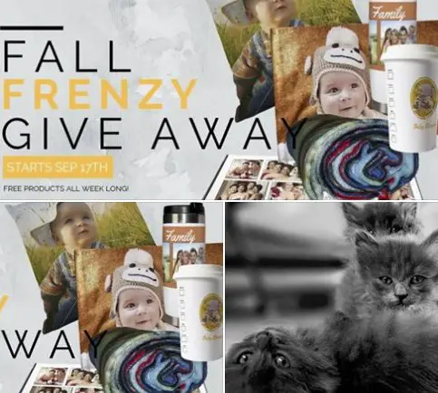 Fall Five Day Frenzy Giveaway