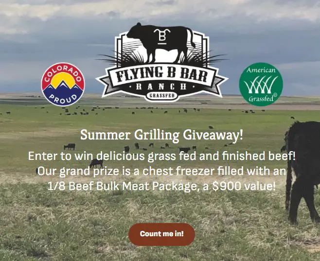 Flying B Bar Ranch Summer Grilling Giveaway - Win A Chest Freezer Filled With Beef {$900 Value}