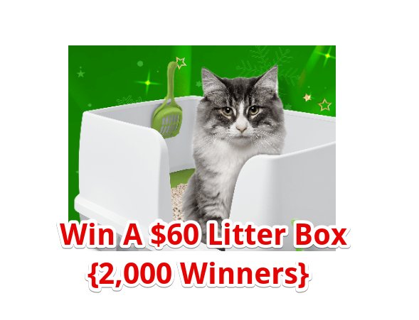 Fooji Making The Holidays A Breeze Giveaway - Win A $60 Cat Litter Box {2000 Winners}