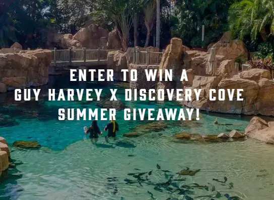 Guy Harvey Discovery Cove Giveaway – Win A Trip For 4 To SeaWorld In Orlando