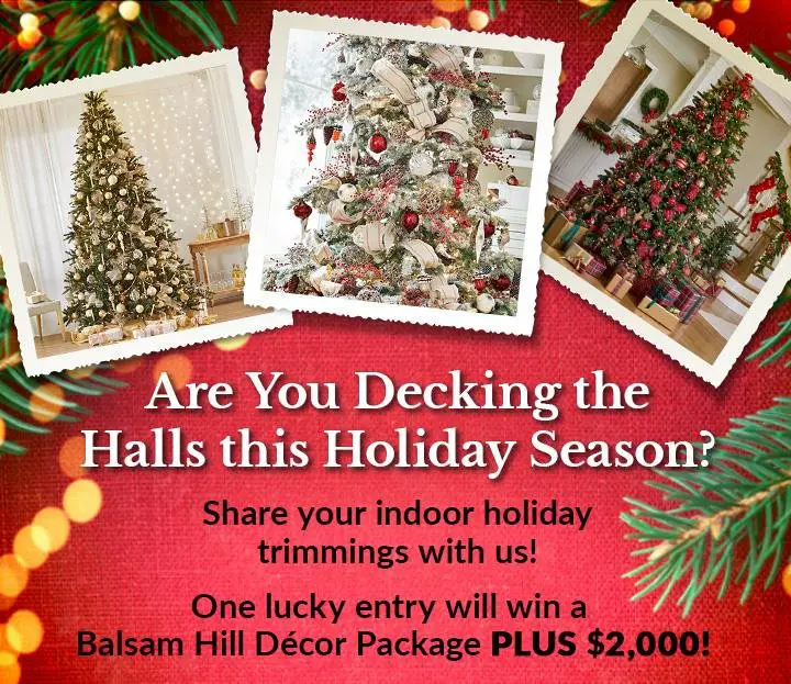 Live with Kelly and Ryan Balsam Hill Holiday Decorations Sweepstakes - Win $2,000 Cash + Christmas Decorations