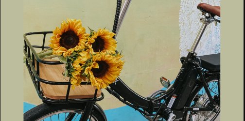 Love Olive Co Blix Bike Giveaway – Win A Sol Eclipse Cruiser Bike And $1,000 Shopping Spree