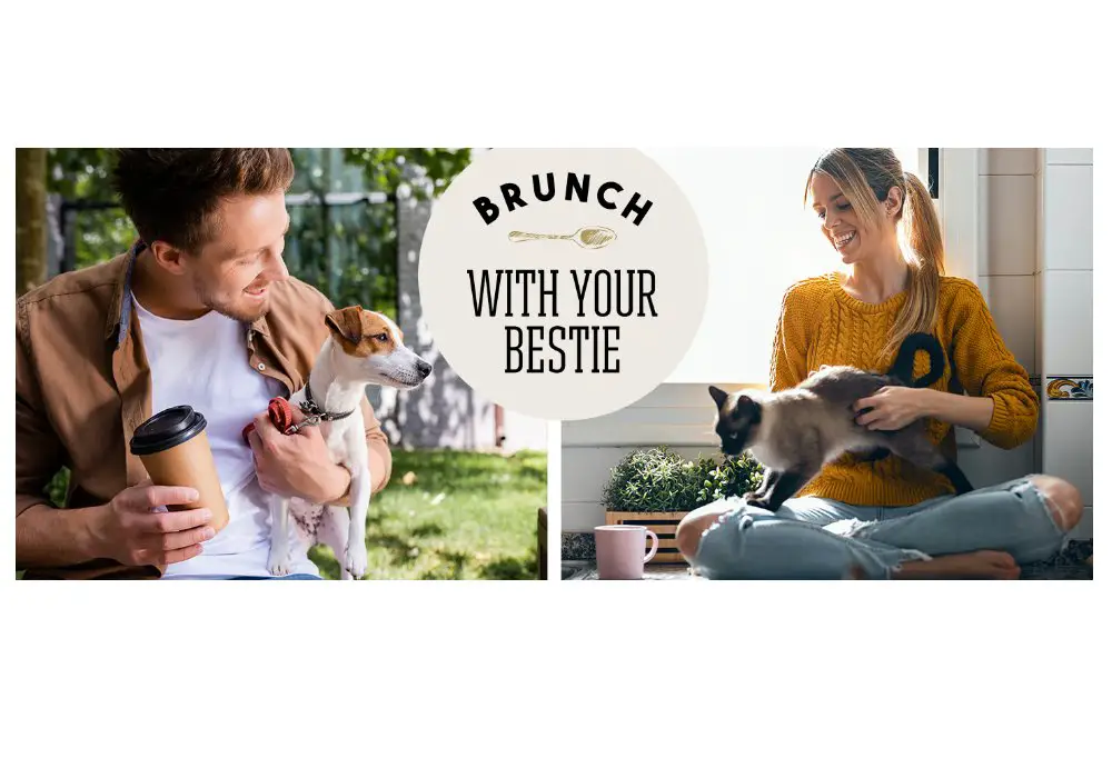 Mars Petcare Brunch With Your Bestie Promotion - Win A $25 Gift Card & A $5 Pet Food Coupon (3,000 Winners)