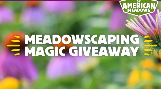 MEADOWSCAPING Magic Giveaway – Win A $500 American Meadows Gift Card & More