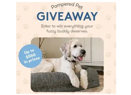 Newton Pampered Pet Giveaway – Win A $560 Pet Care Package