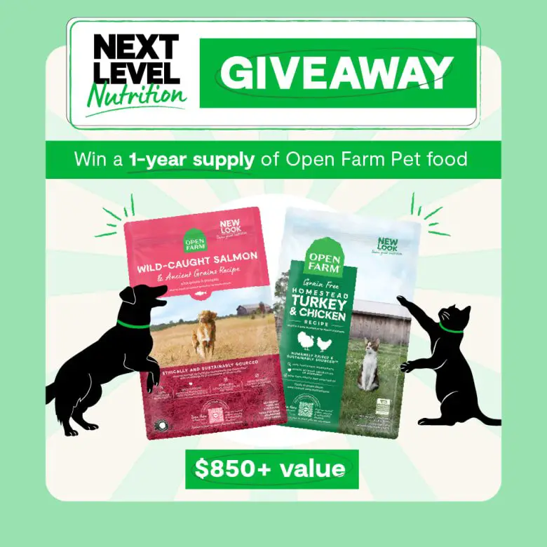 Next Level Nutrition Giveaway – Win 1 Year Supply Of Pet Food