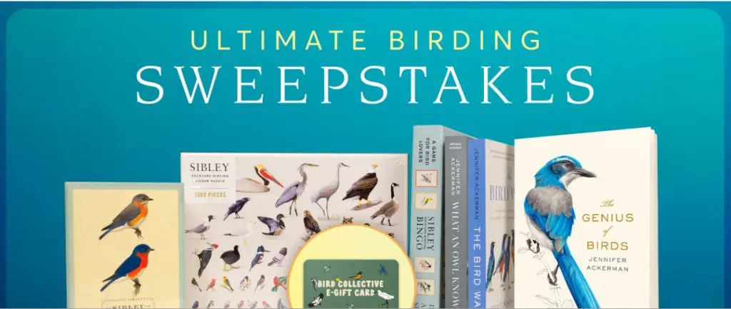 Penguin Random House Ultimate Birding Sweepstakes - Enter To Grab Up To $248.99 In Book Prizes