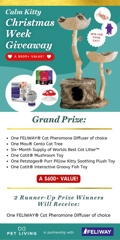 Pet Living with Kristen Levine Calm Kitty Christmas Week Giveaway - Win A Feliway Diffuser, Catit Mushroom Toy & More