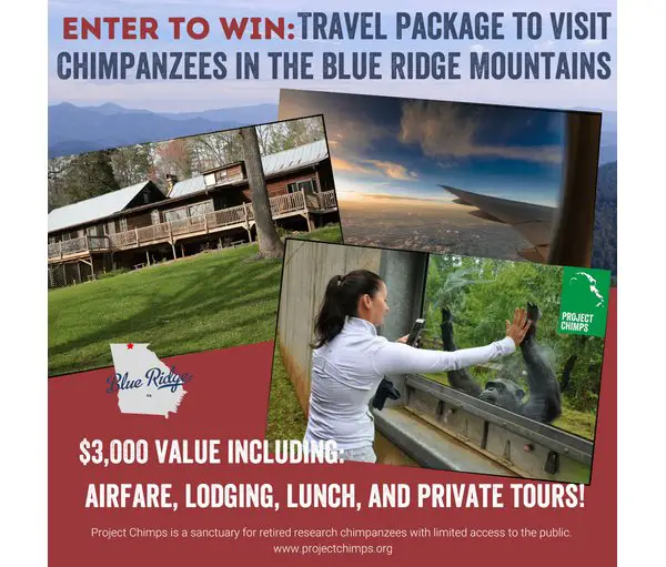 Project Chimps Giveaway - Win A Trip For 2 To Project Chimps In Blue Ridge, Georgia