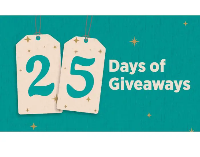 Radio Flyer 25 Days of Giveaways Sweepstakes - Win The Featured Toy Of The Day