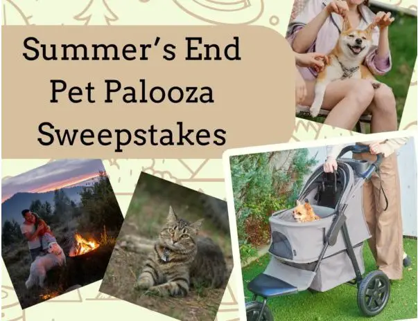 Richell Summer’s End Pet Palooza Sweepstakes – Win 1 Easy Collapsible Jogging Pet Stroller