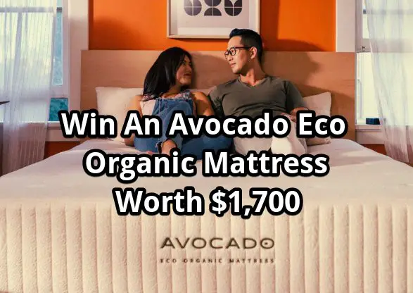 RoundUp Avocado Eco Organic Mattress Giveaway - Win An Avocado Eco Organic Mattress