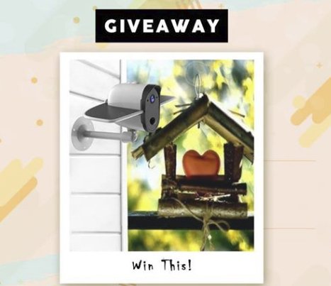 Security Camera Giveaway