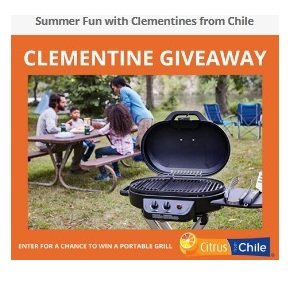 Summer Fun with Clementines from Chile - Win a Brand New Portable BBQ Griddle!