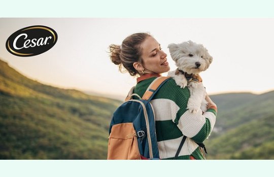 Trip Advisor Cesar Traveler’ Choice Pet-Friendly Hotels Sweepstakes – Win A Trip For You And Your Dog & More