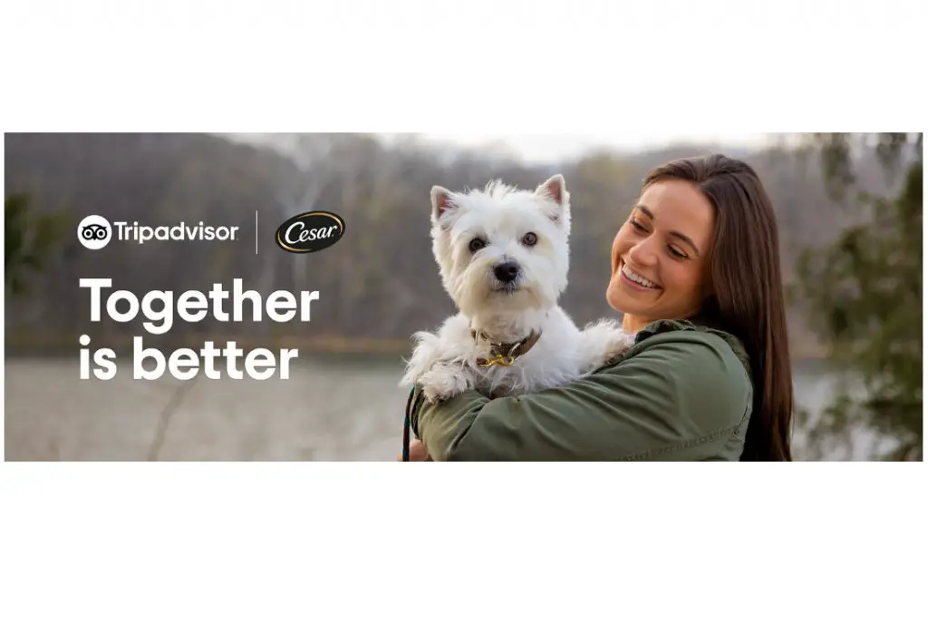 TripAdvisor Cesar Traveler Choice Pet-Friendly Hotels Sweepstakes - Win A Trip For 2 With Their Pet Dog & More