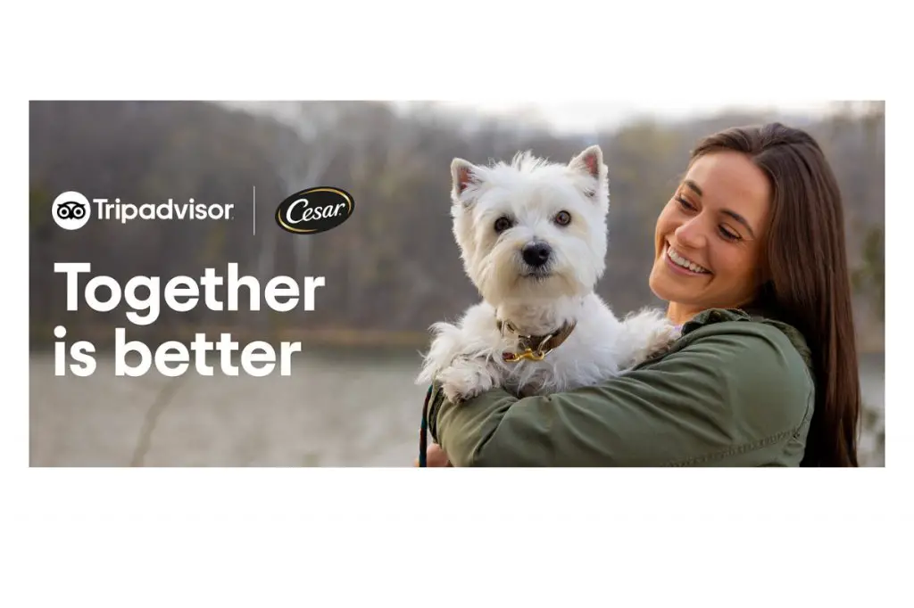 TripAdvisor Cesar Traveler’ Choice Pet-Friendly Hotels Sweepstakes - Win A Trip For 2 With Your Pet Dog