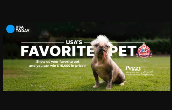 USA Today’s Favorite Pets Photo Contest - Win $5,000 Cash, $5,000 Pet Store Gift Card, & More