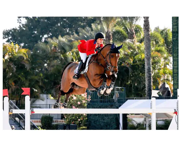USEF Winter Sweepstakes - Win A Trip For Two To Wellington, FL For The US Equestrian Winter Events