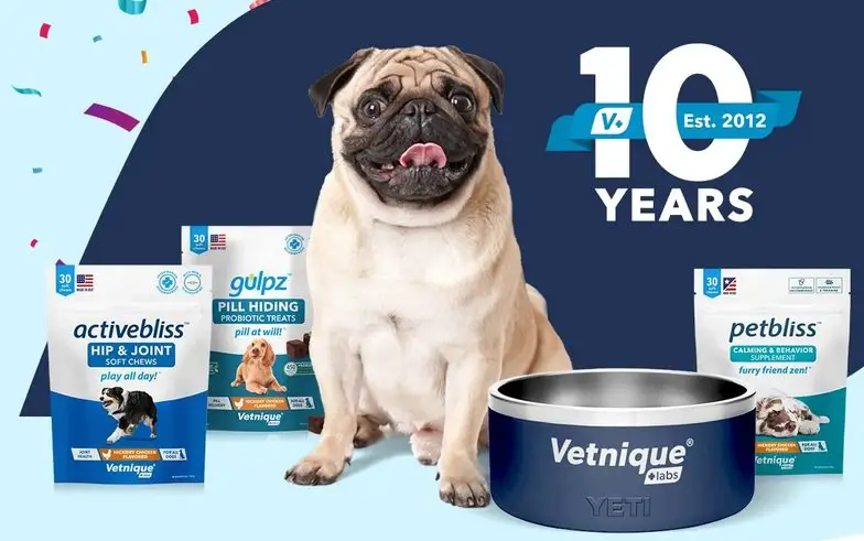 Vetnique 10-Year Anniversary Sweepstakes - Win a Dog Bowl and Healthy Treats