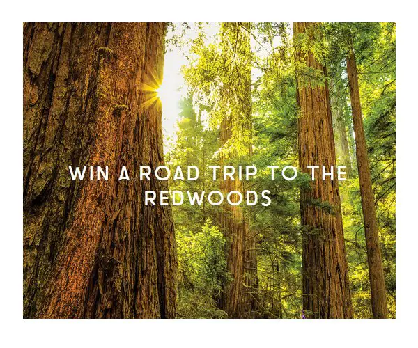 Visit Del Norte County Road Trip to the Redwoods Sweepstakes