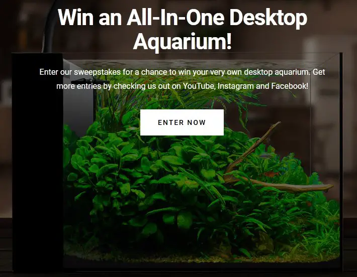 Waterbox Aquatics Desktop Aquarium Giveaway - Win A Brand New Desktop Aquarium