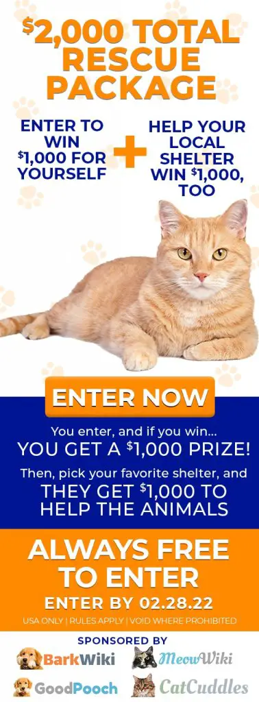 Win $1,000 For Yourself & Another $1,000 For Your Favorite Animal Shelter