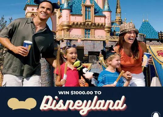 Win A $1,000 Disney Gift Card In The Meier Law Firm $1,000 To Disneyland Giveaway